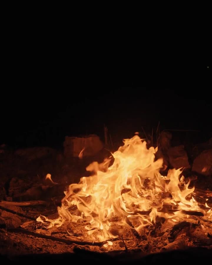 A group enjoying an outdoor camping trip