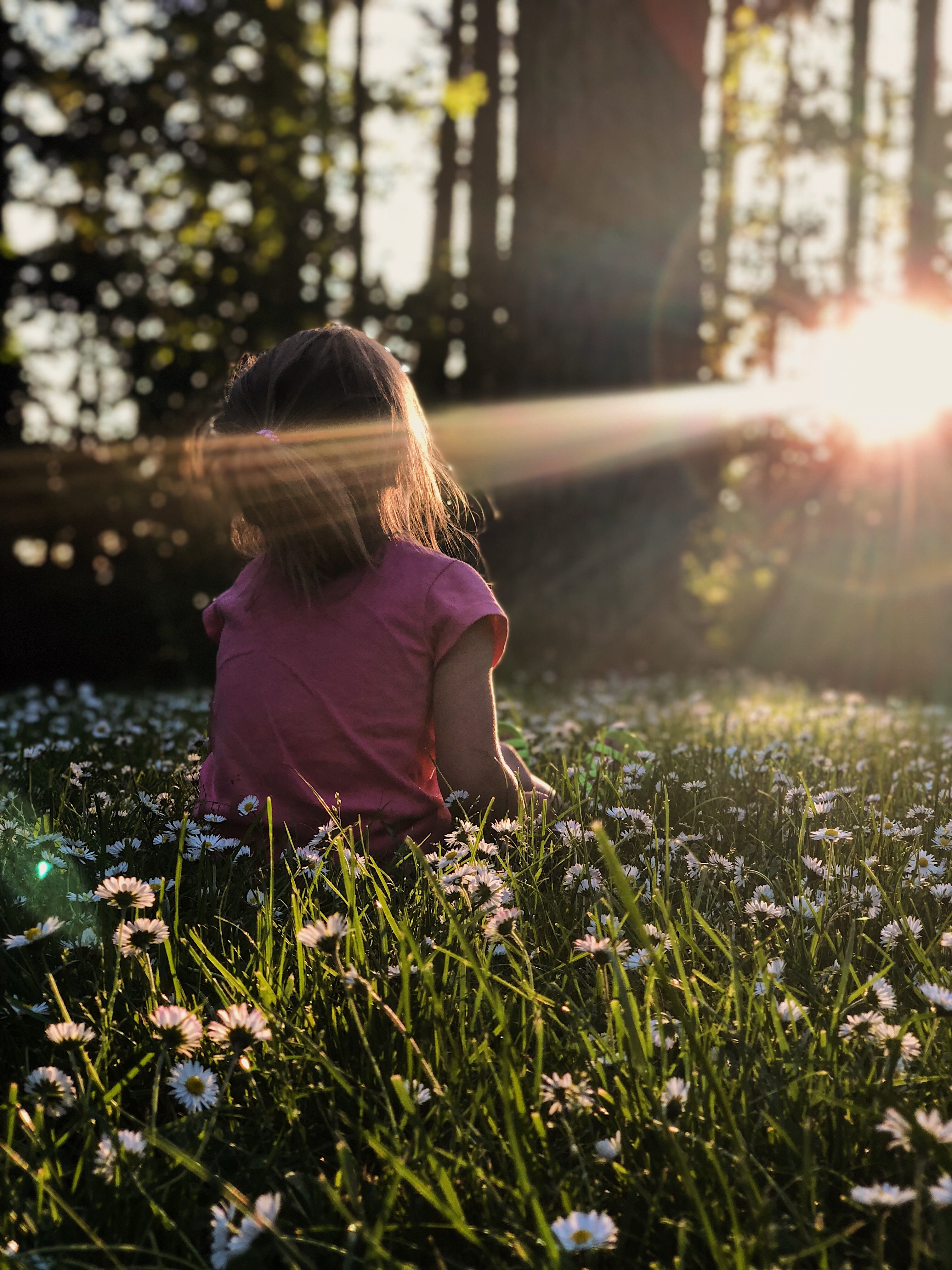 A child sitting among daisies in the evening sun